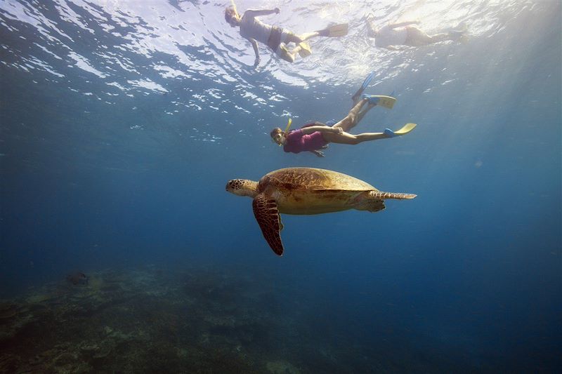 Grande barrière de corail - Queensland