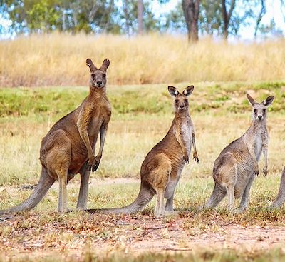 Voyages sur mesure Australie
