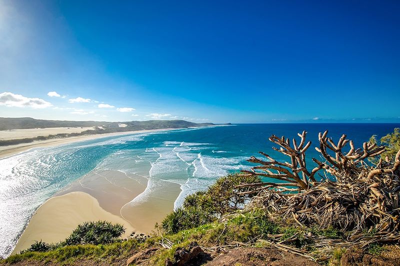 K'gari (anciennement Fraser Island) - Australie