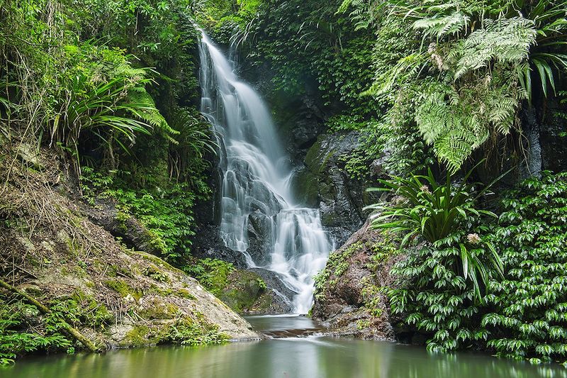 Lamington National Park - Queensland, Australia