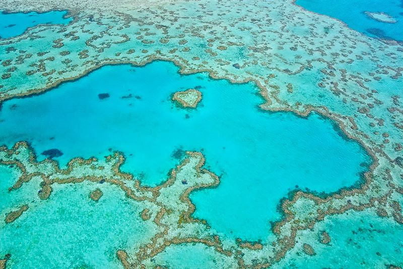 Grande Barrière de Corail - Îles Whitsunday - Australie