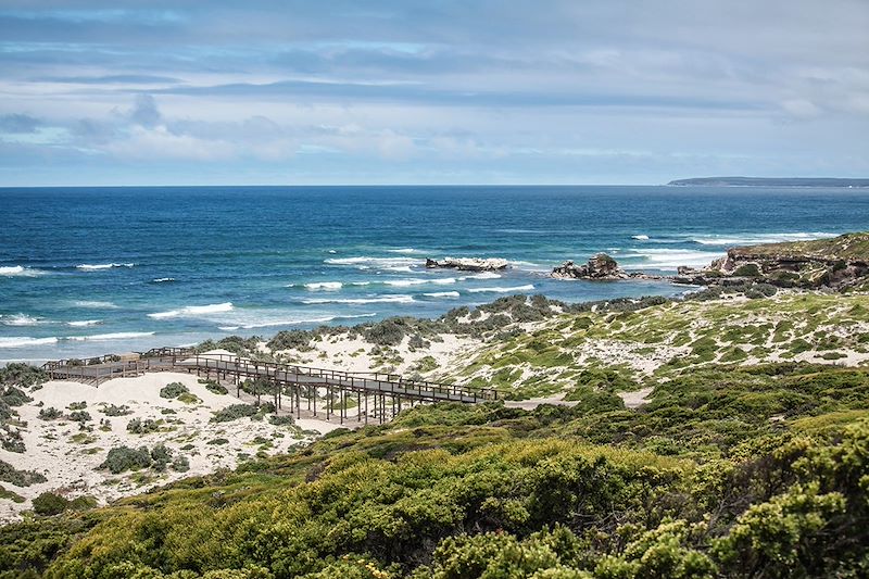 Ile de Kangourou - Australie-Méridionale - Australie