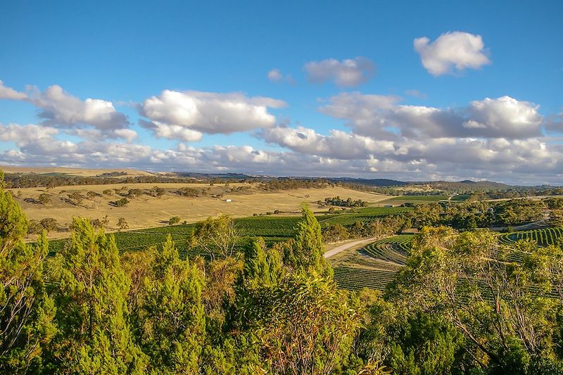 Clare Valley - Mid North - Australie