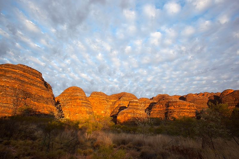 Bungle Bungle Range - Purnululu - Kimberley - Australie