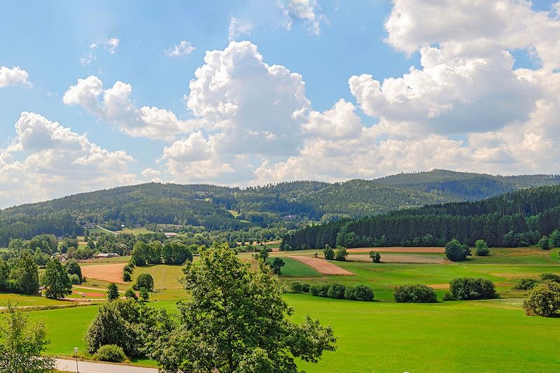 Région Waldviertel - Basse-Autriche - Autriche