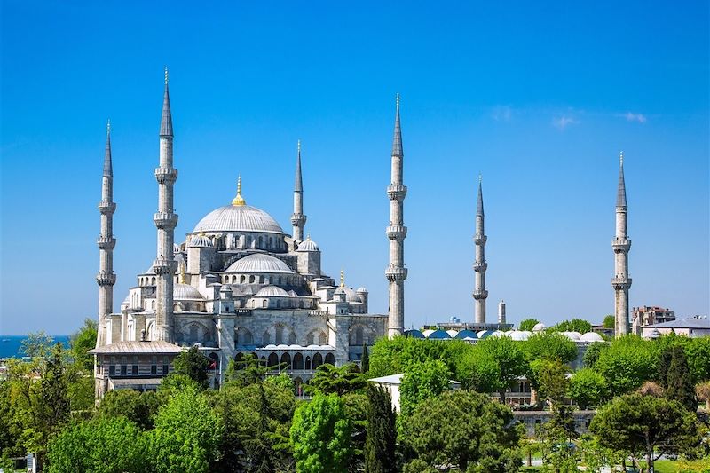 Mosquée bleue - Istanbul - Turquie 