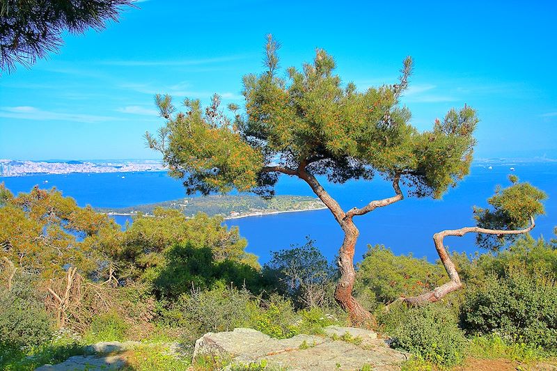 Îles des Princes - Turquie