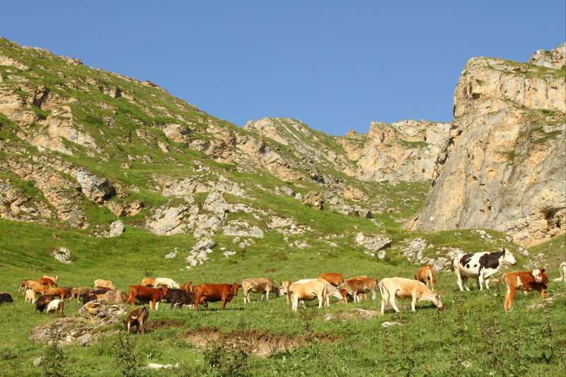 Petit trek des villages du Caucase