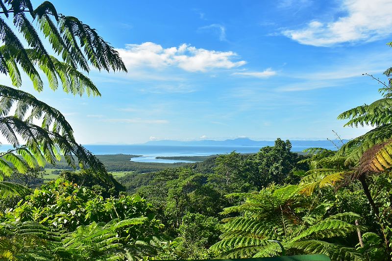 Parc national de Daintree - Queensland - Australie