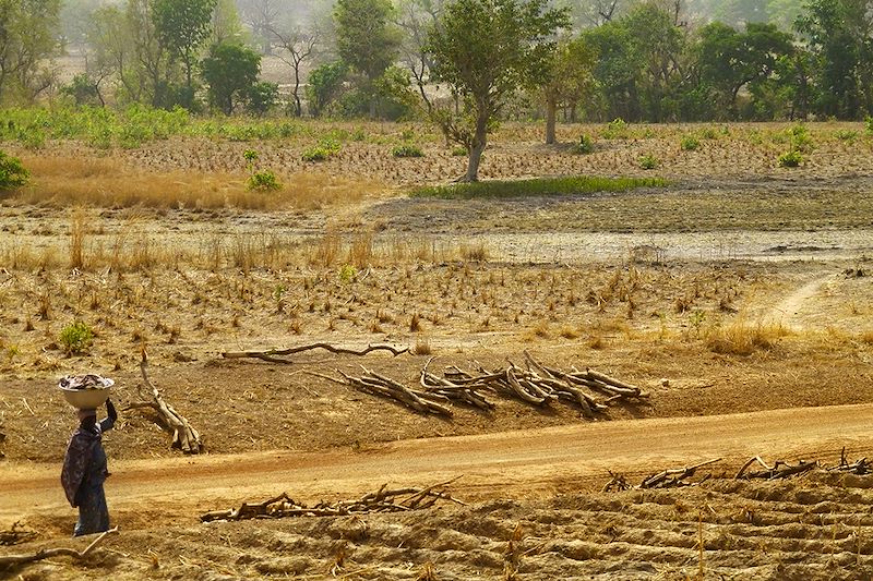 Pays Somba - Natitingou - Bénin