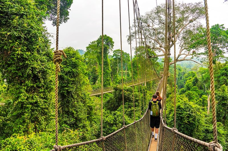 Parc national de Kakum - Ghana