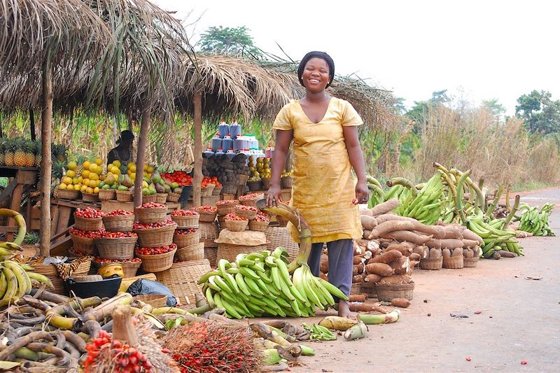 Bénin et Togo, pas à pas