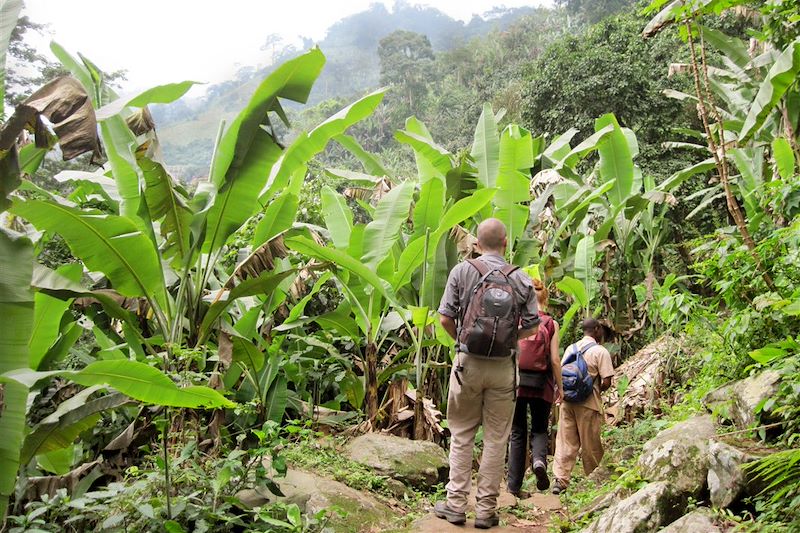 Région de Kouma Konda - Togo