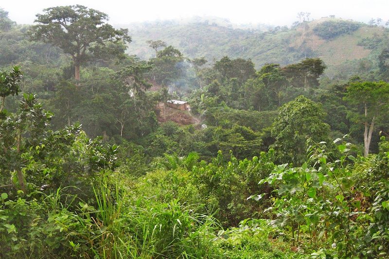 Région de Kouma Konda - Togo