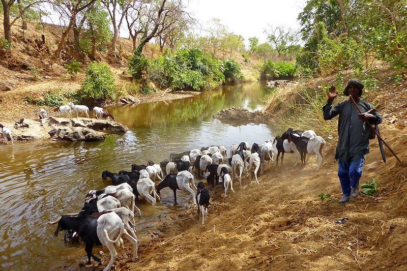 Pays Somba - Natitingou - Bénin