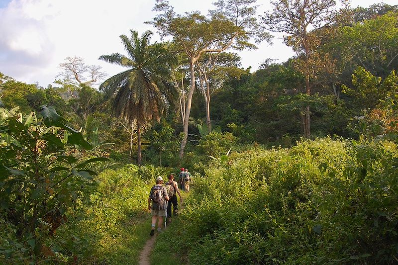 Voyage d'aventure au Bénin et au Togo : hauts plateaux du Togo, royaume d'Abomey, Ouidah et Ganvie !