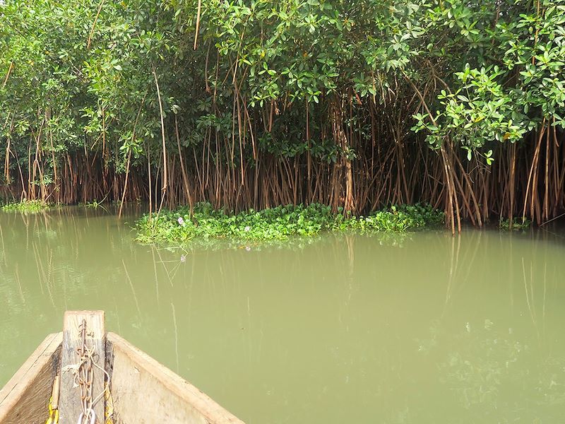 Voyage responsable et solidaire au Bénin