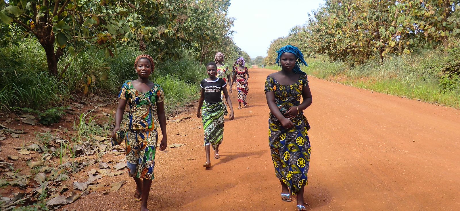 Image Au cœur de la route des esclaves