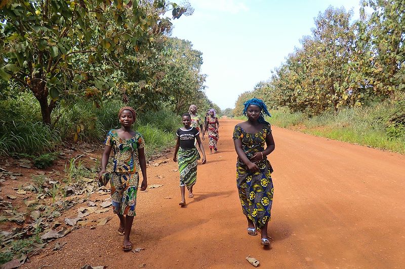 Jeunes femmes dans la forêt classée de la Lama - Bénin