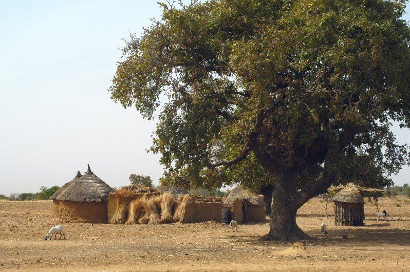 Le Pays Lobi à Mobylette 