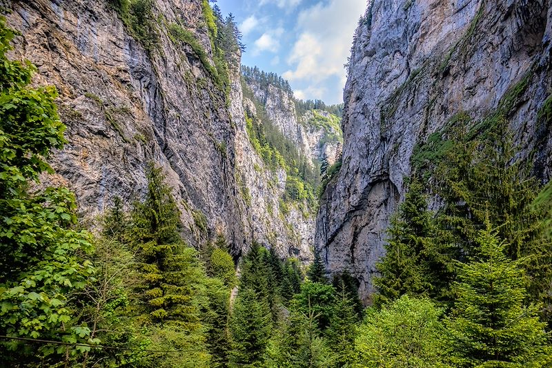 Gorges de Trigrad - Oblast de Smoljan - Bulgarie