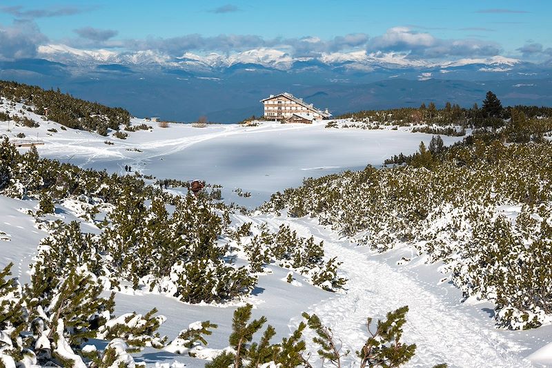 Lac de Bezbog gelé en hiver - Parc national du Pirin - Bulgarie