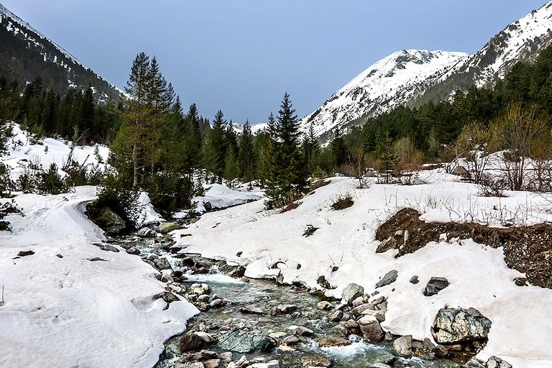 La rivière Bunderishka près du refuge - Parc national du Pirin - Bulgarie