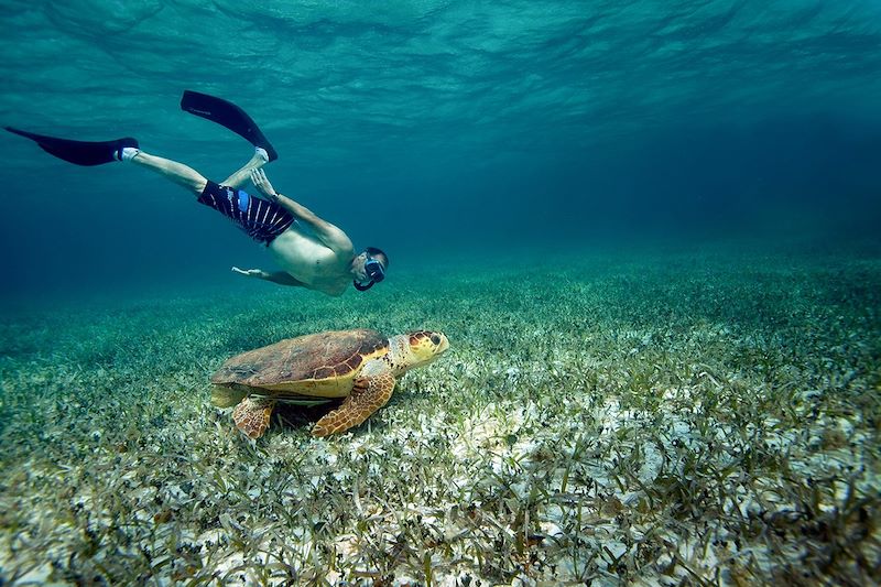 Snorkeling au Bélize