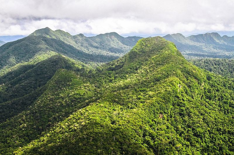 Cockscomb Basin - Belize