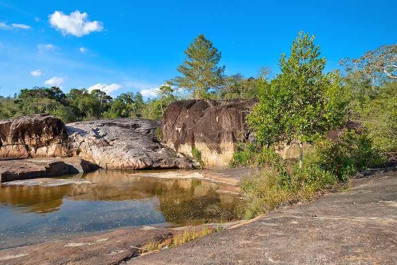 Rio on Pools - Réserve de Mountain Pine Ridge - Belize