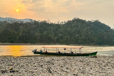 Cœur sauvage de l'Amazonie 4