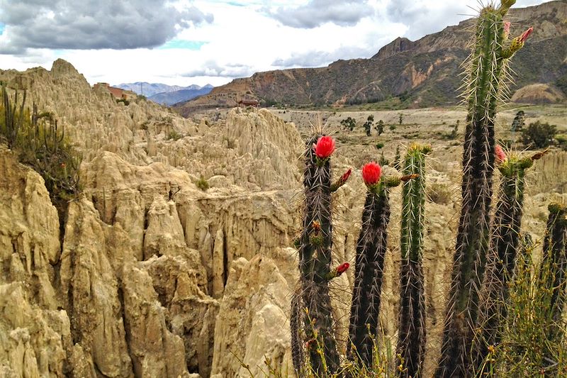 Valle de la Luna - Département de La Paz - Bolivie