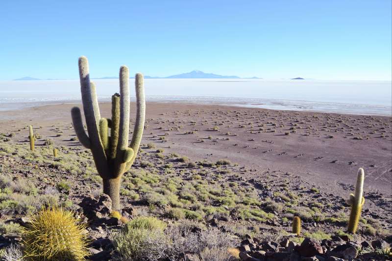 La Bolivie sans concession