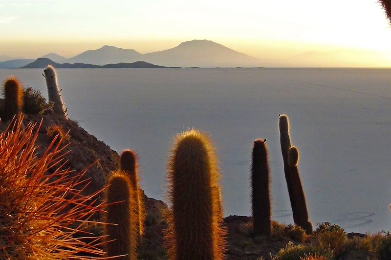 Salar de Uyuní depuis l'île d'Incahuasi - Province d'Antonio Quijarro - Département de Potosí - Bolivie