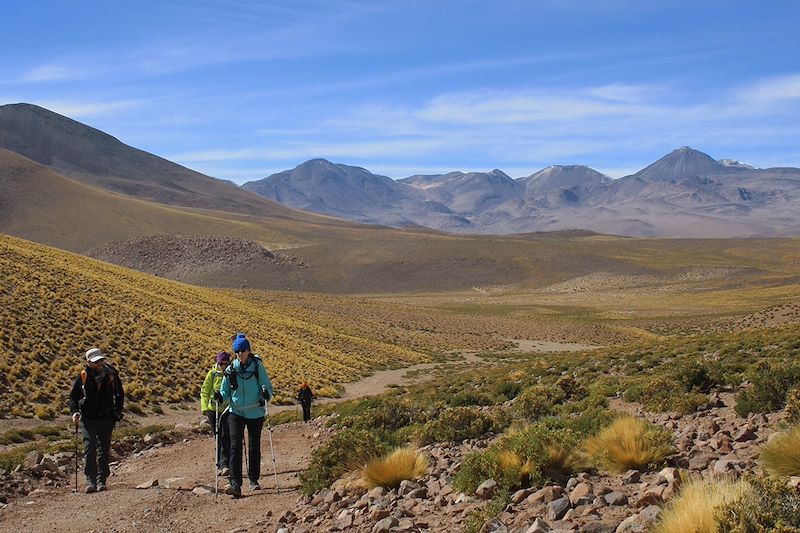 Randonnée dans la région de Machuca - Chili