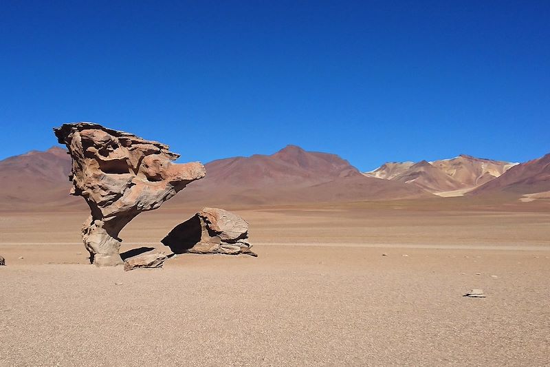 Arbol de Piedra - Bolivie