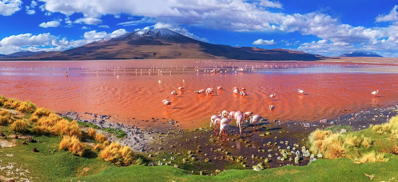 Image Ascension Licancabur, Atacama & Titicaca