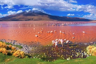Licancabur & Huayna Potosi 2