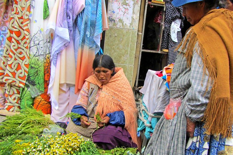 Marché de La Paz - Département de La Paz - Bolivie 