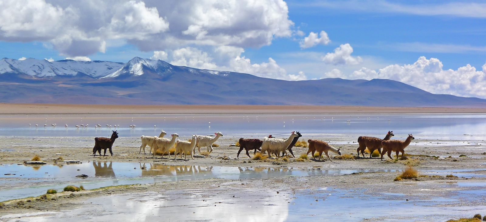 Image Les joyaux de la Bolivie