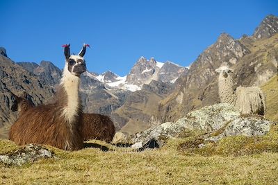 Traversée de la Cordillère Royale 3