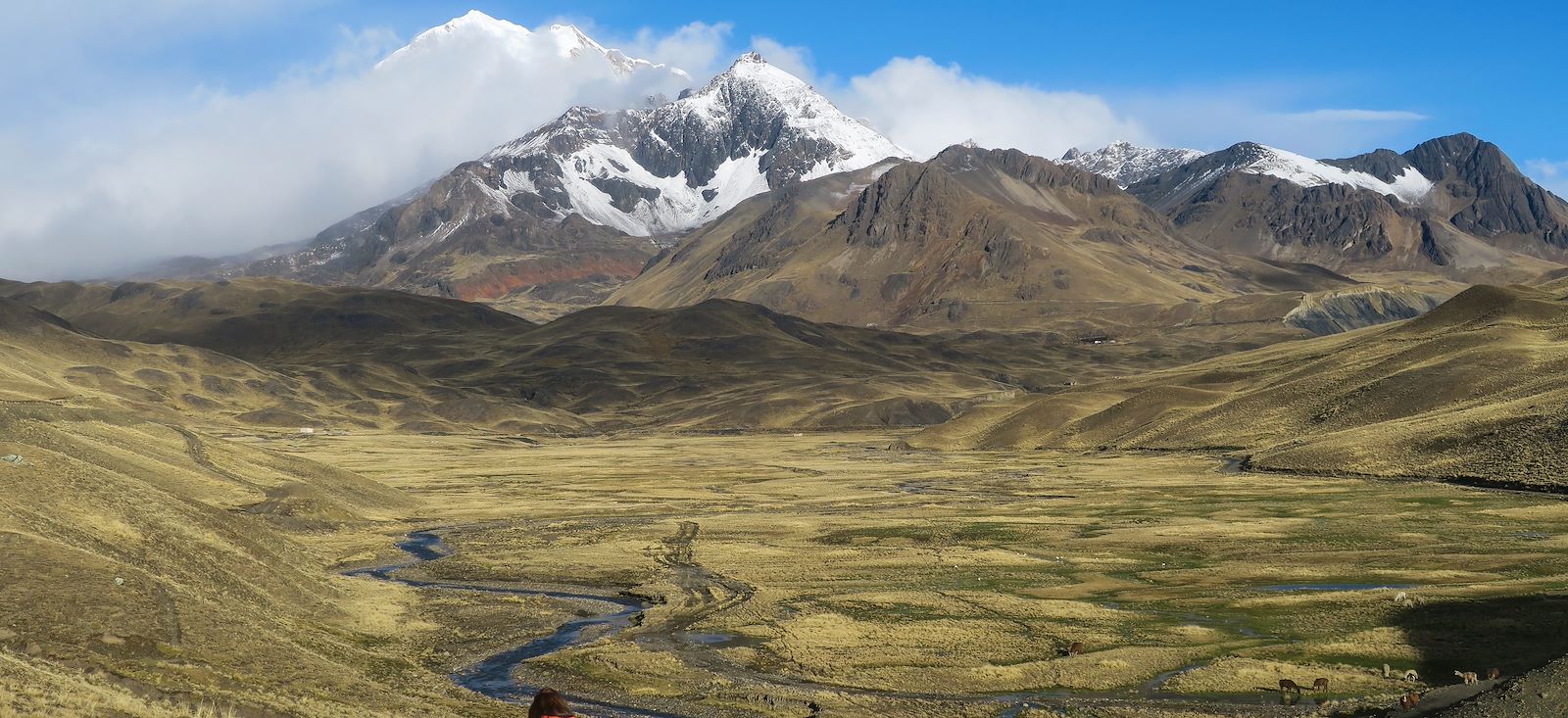 Image Traversée de la Cordillère Royale