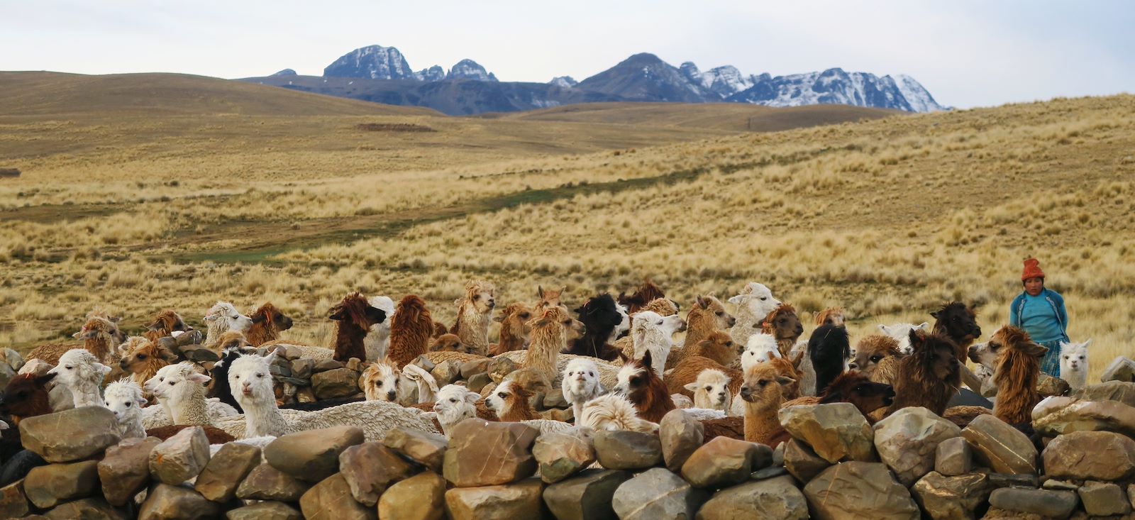 Image Traversée de la Cordillère Royale