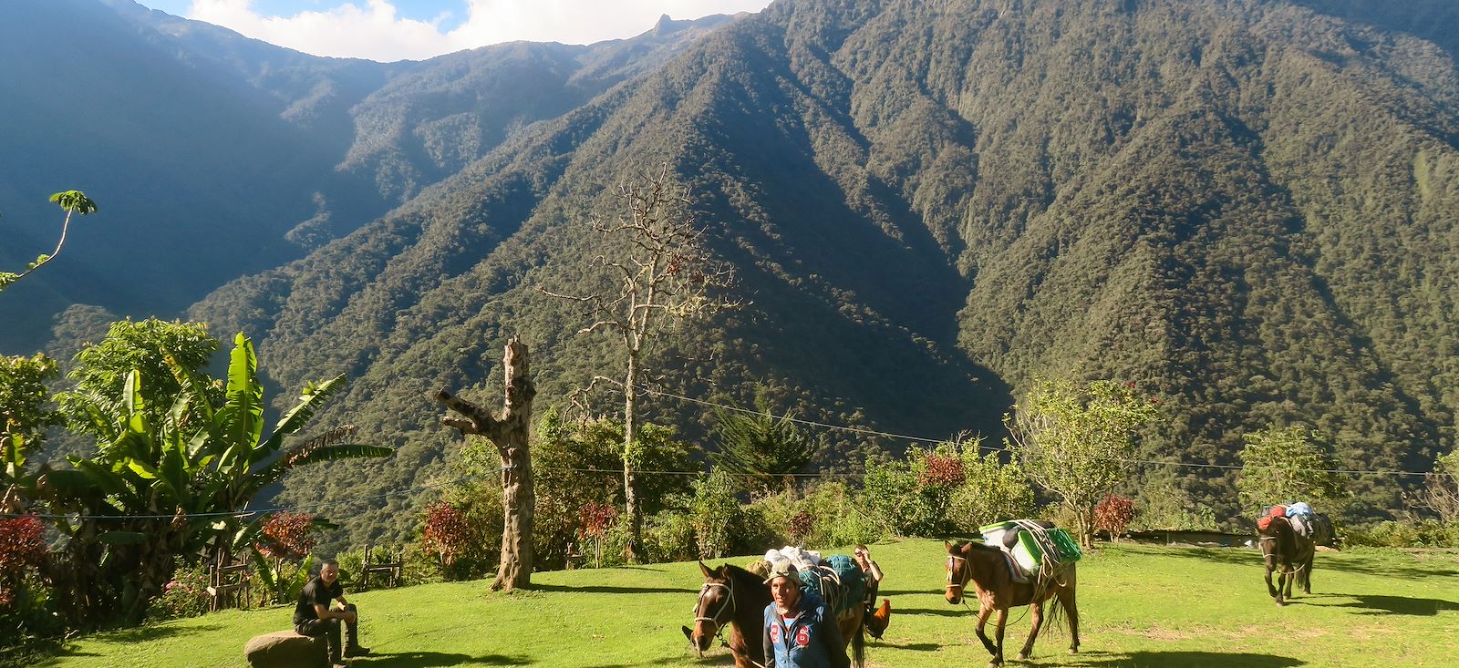Image Traversée de la Cordillère Royale