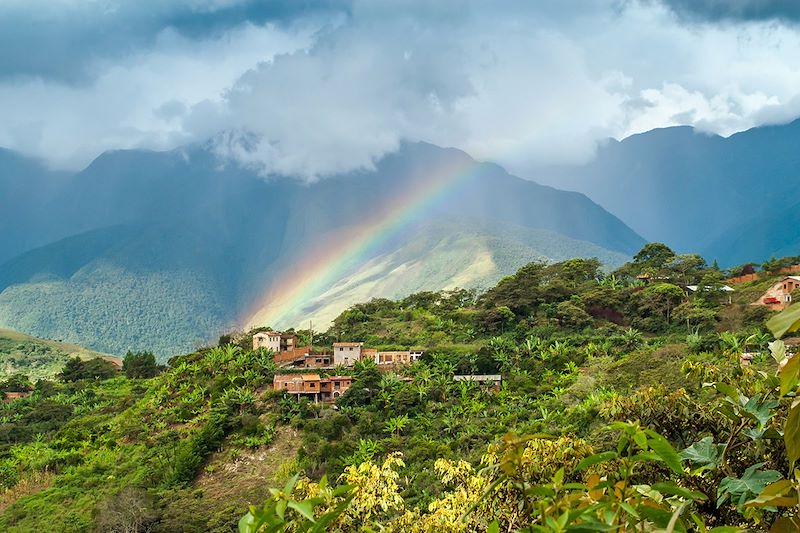 Village de Coroico - Province de Nor Yungas - Département de La Paz - Bolivie