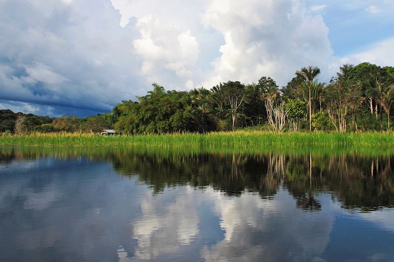 Rio Negro - Brésil