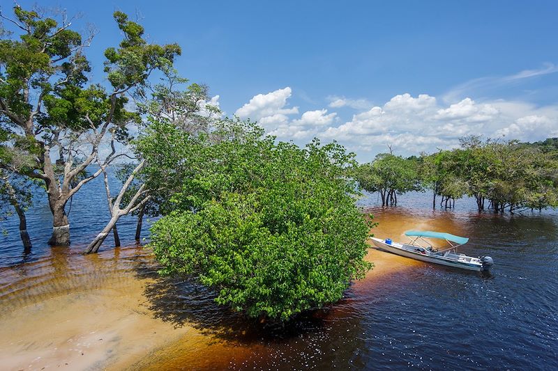 Immersion en Amazonie et au Pantanal, sanctuaires naturels de faune et de flore d'une richesse sans pareille.