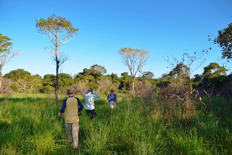 Randonnée - Pantanal - Brésil