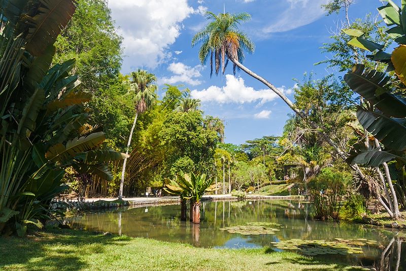 Jardin botanique de Rio de Janeiro - Brésil