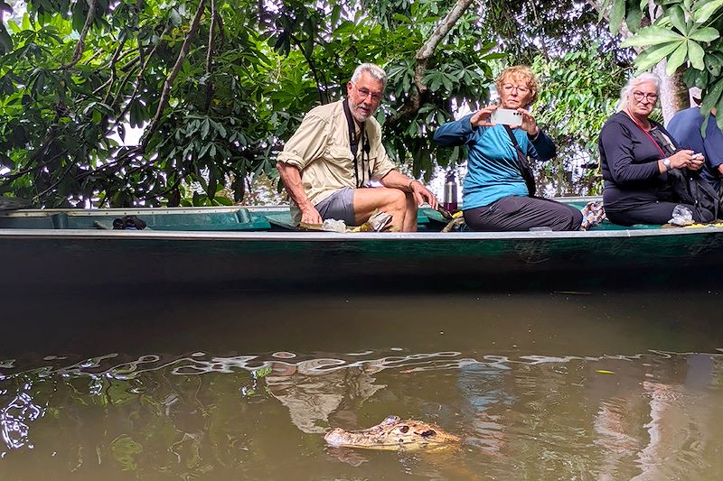 Observation d'un caïman sur le Lago Sandoval - Réserve nationale Tambopata - Pérou